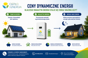 Infografika podsumowująca korzyści posiadania magazynu energii